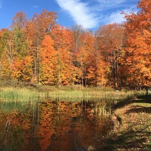 Meet your Posher, Lynn